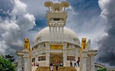 untitled design 1 untitled design 1